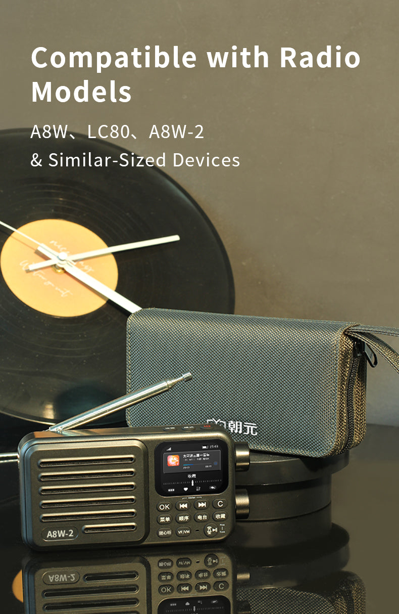 Other: ChoYong A8W radio carrying case