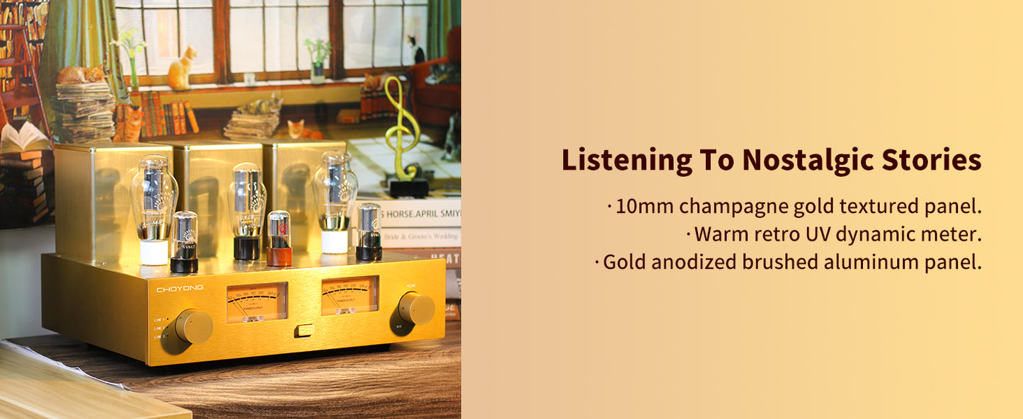 ChoYong 300B power amplifier tube amplifier