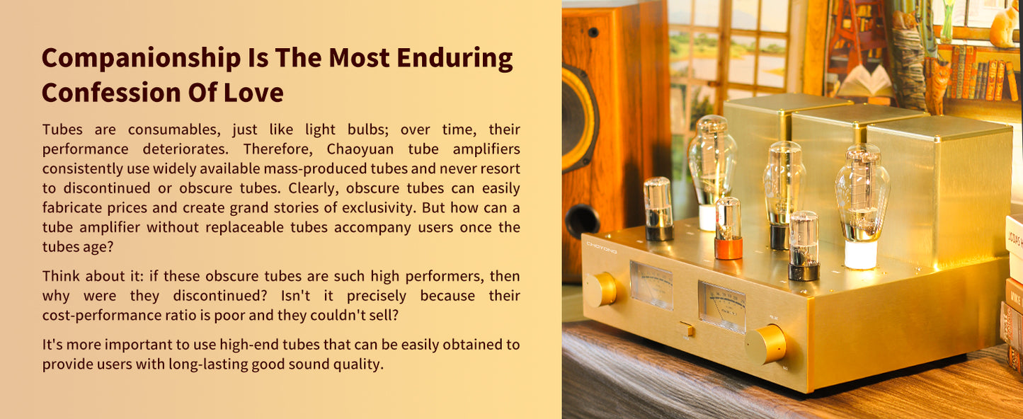 ChoYong 300B power amplifier tube amplifier