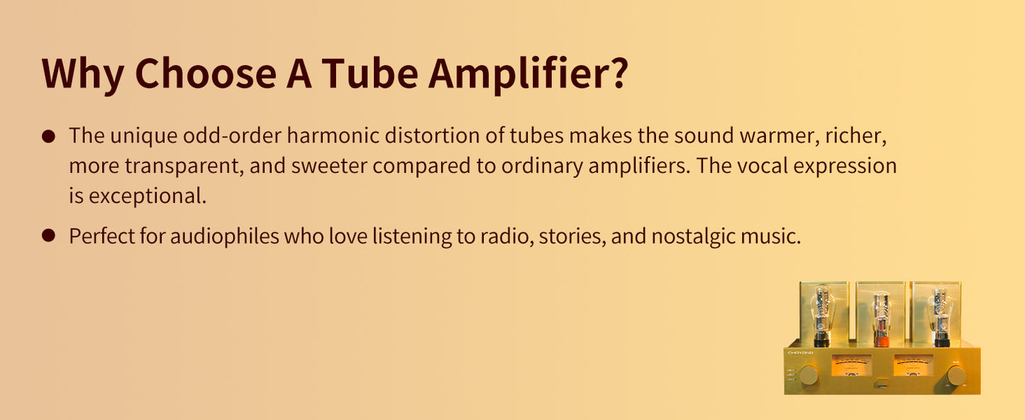 ChoYong 300B power amplifier tube amplifier