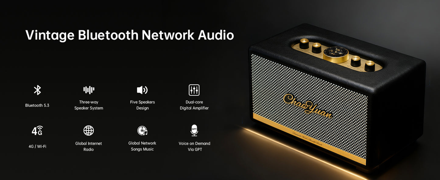 ChoYong Maestro Audio C2