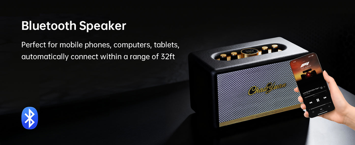 ChoYong Maestro Audio C2