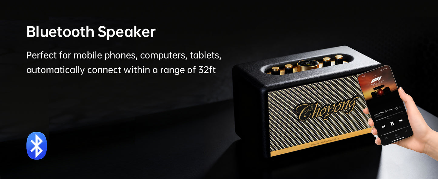 ChoYong  Maestro  C2 Audio