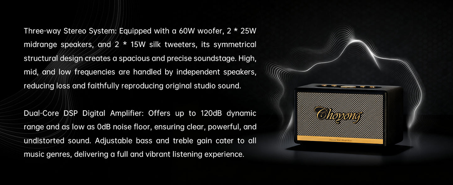 ChoYong  Maestro  C2 Audio