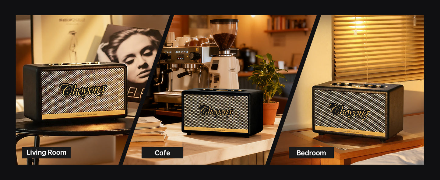 ChoYong  Maestro  C2 Audio