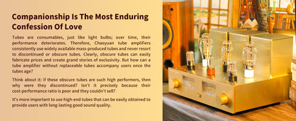 ChoYong 300B power amplifier tube amplifier