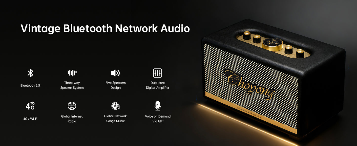 ChoYong  Maestro  C2 Audio