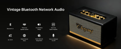 ChoYong  Maestro  C2 Audio