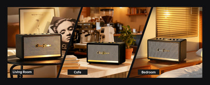 ChoYong  Maestro  Audio C2