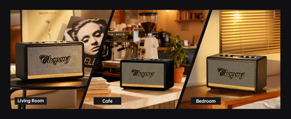 ChoYong  Maestro  C2 Audio