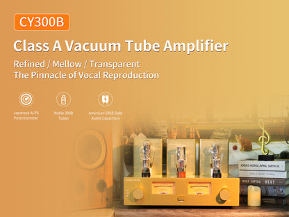 CHOYONG Class A 300B Tube  Amplifier