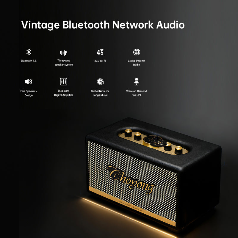 CHOYONG Maestro C2 WiFi Speaker