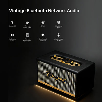 CHOYONG Maestro C2 WiFi Speaker