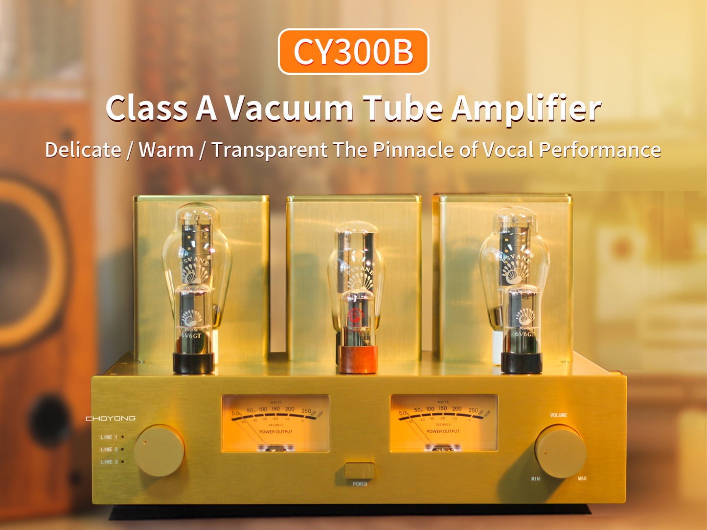 CHOYONG Class A 300B Tube  Amplifier