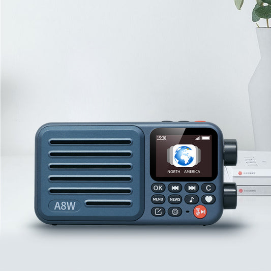 ChoYong A8W Support FM/Micro SD/ 40K+ internet Radio