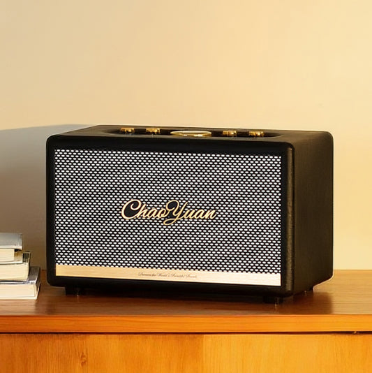 ChoYong  Maestro  Audio C2