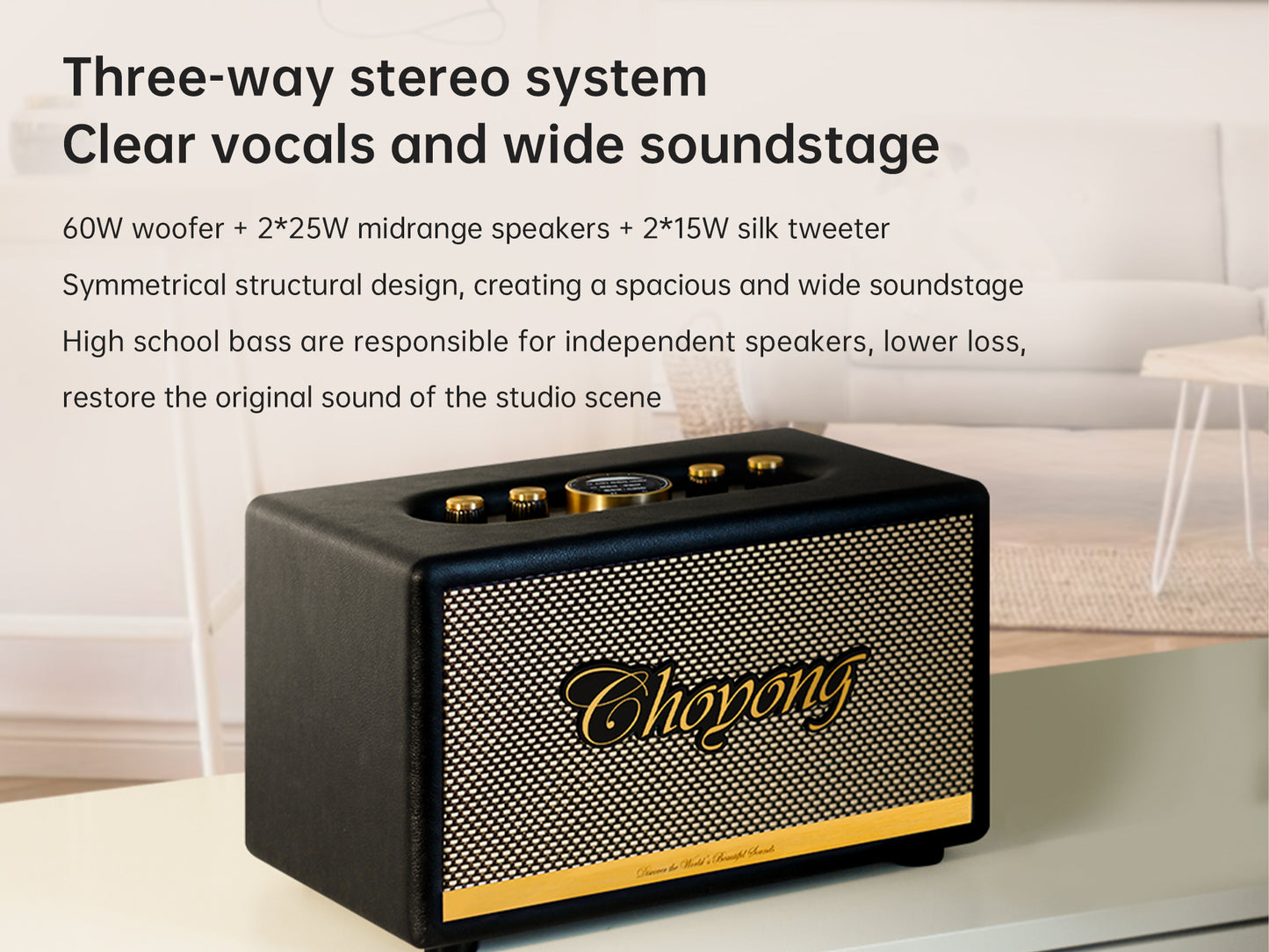 CHOYONG Maestro C2 WiFi Speaker