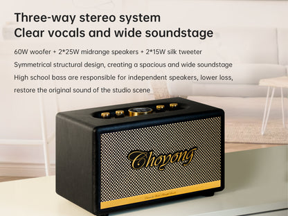 CHOYONG Maestro C2 WiFi Speaker