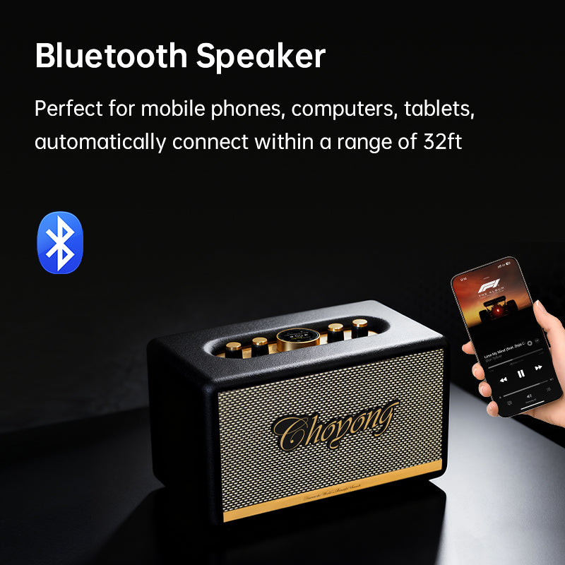 CHOYONG Maestro C2 WiFi Speaker