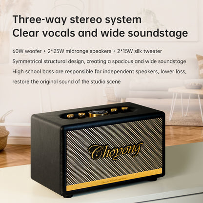CHOYONG Maestro C2 WiFi Speaker