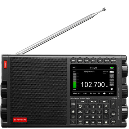 CHOYONG LC100 Radio