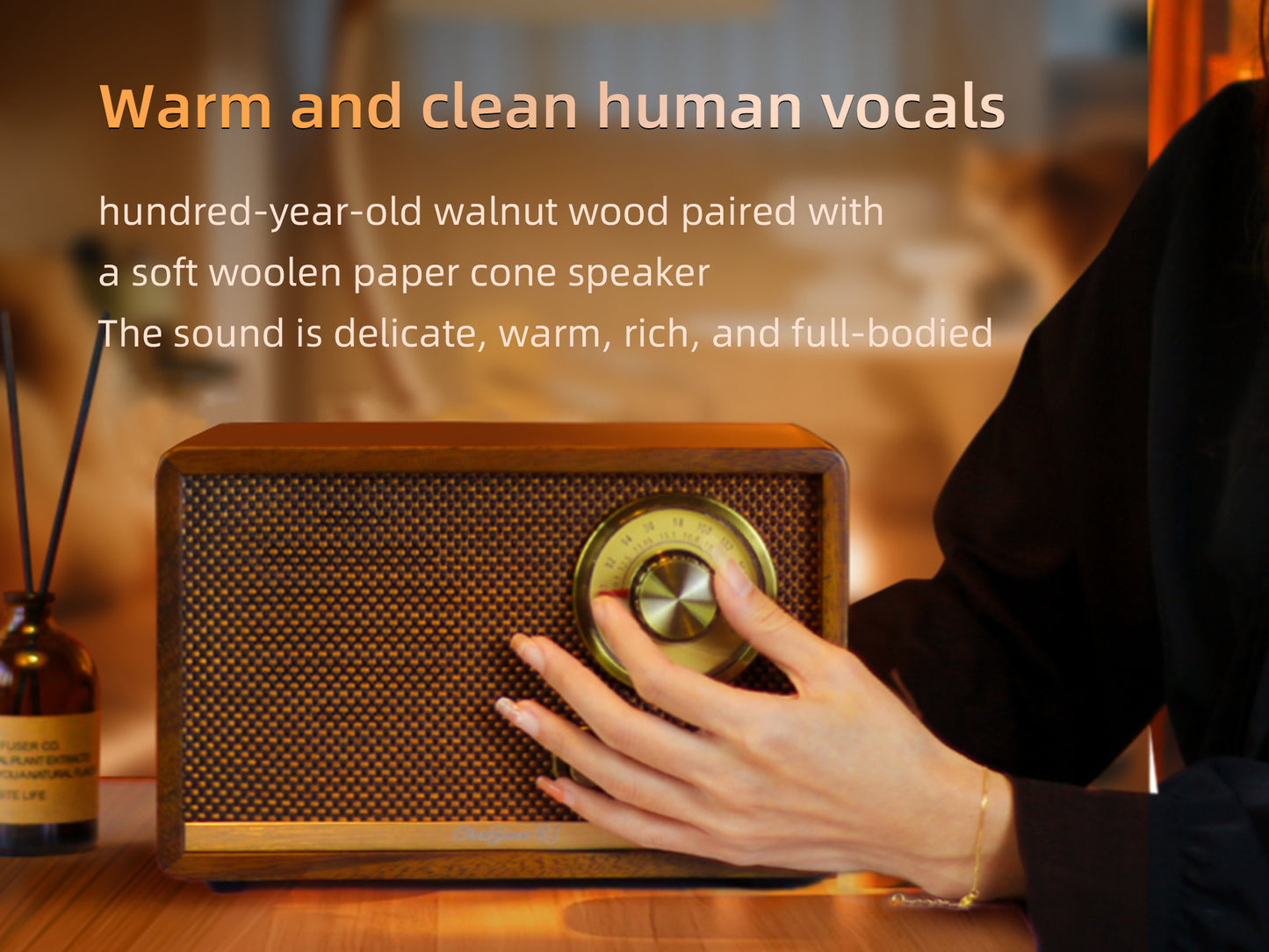 CHOYONG R1 Walnut Solid Wood Bluetooth Speaker