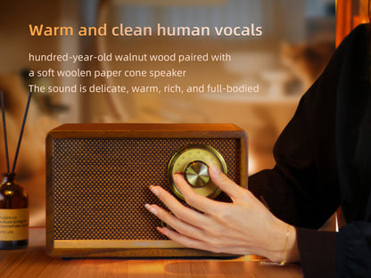 CHOYONG R1 Walnut Solid Wood Bluetooth Speaker