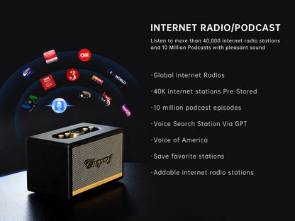 CHOYONG Maestro C2 WiFi Speaker