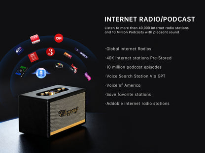 CHOYONG Maestro C2 WiFi Speaker