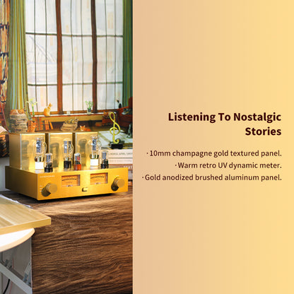 CHOYONG Class A 300B Tube  Amplifier