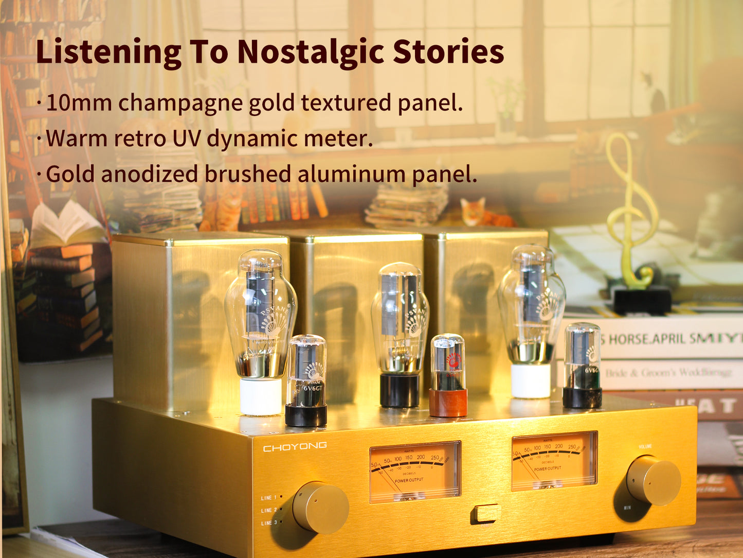 CHOYONG Class A 300B Tube  Amplifier