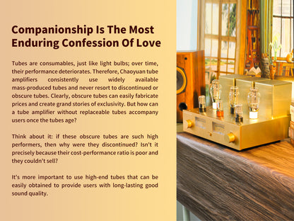 CHOYONG Class A 300B Tube  Amplifier