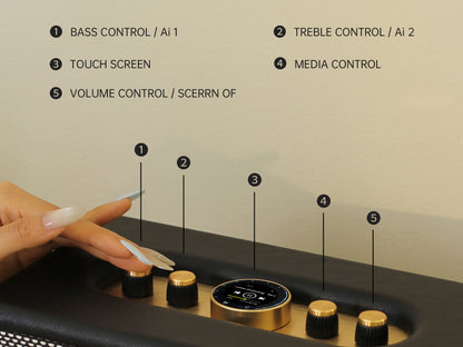 CHOYONG Maestro C2 WiFi Speaker