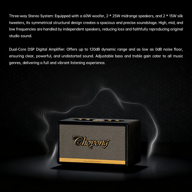 CHOYONG Maestro C2 WiFi Speaker