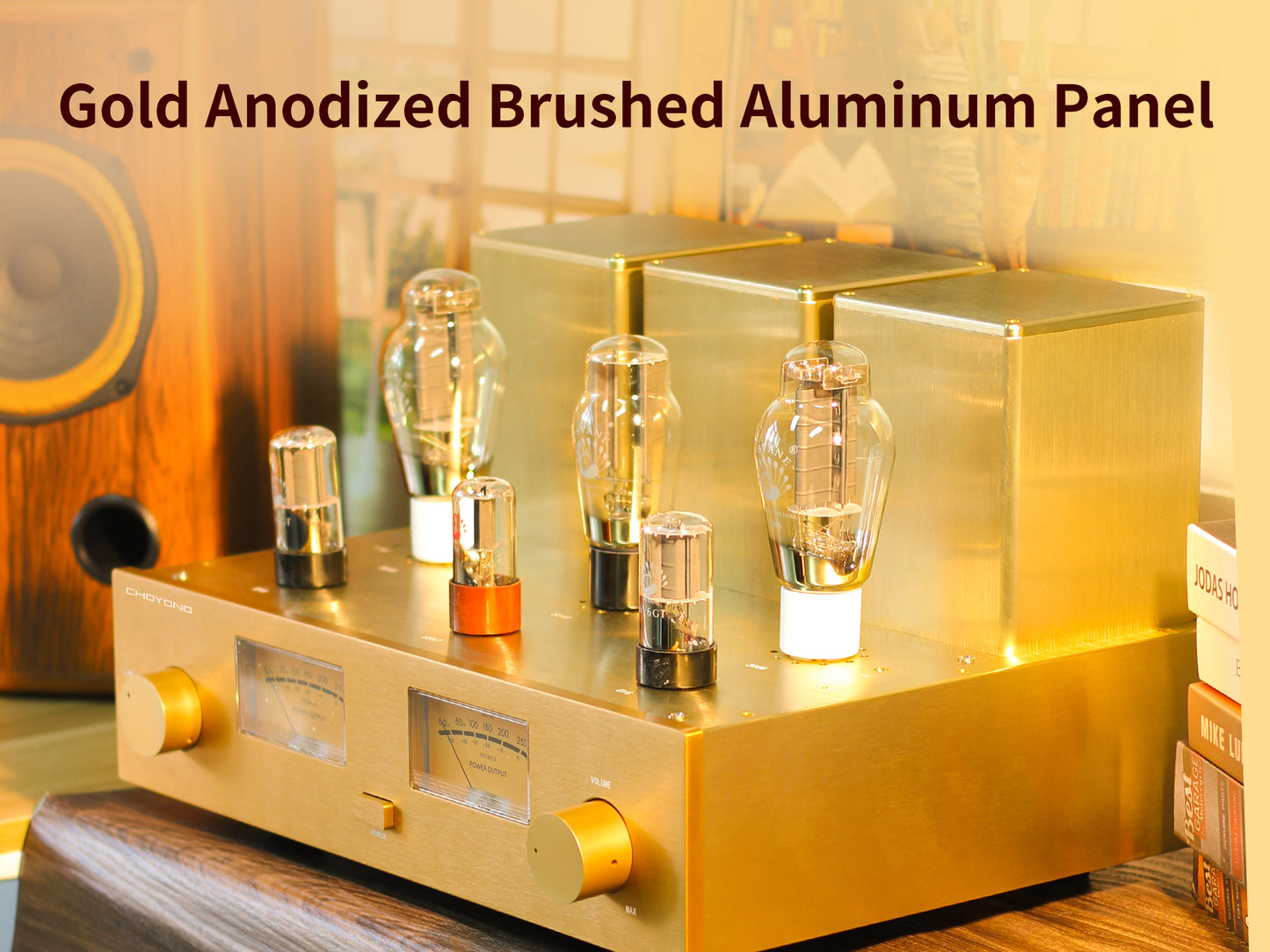 CHOYONG Class A 300B Tube  Amplifier