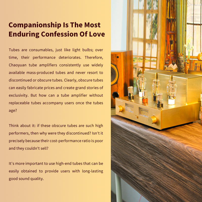 CHOYONG Class A 300B Tube  Amplifier