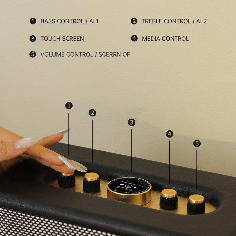 CHOYONG Maestro C2 WiFi Speaker