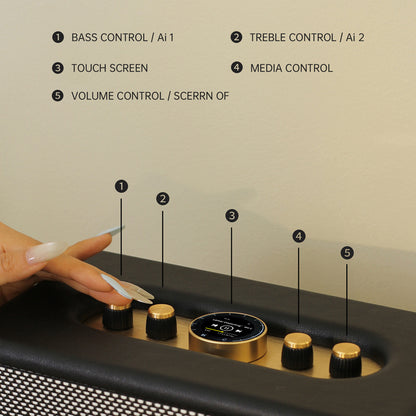 CHOYONG Maestro C2 WiFi Speaker