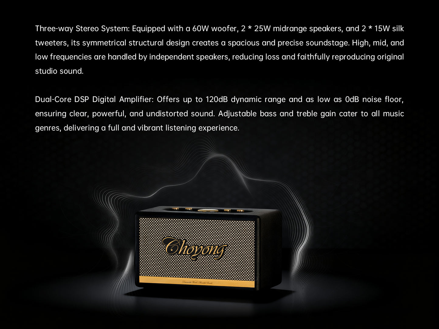 CHOYONG Maestro C2 WiFi Speaker