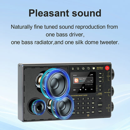 CHOYONG LC90 Multi-Band Smart Internet Radio