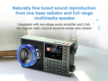 CHOYONG LC90 Mini Multi-Band Smart Internet Radio