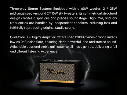CHOYONG Maestro C2 WiFi Speaker