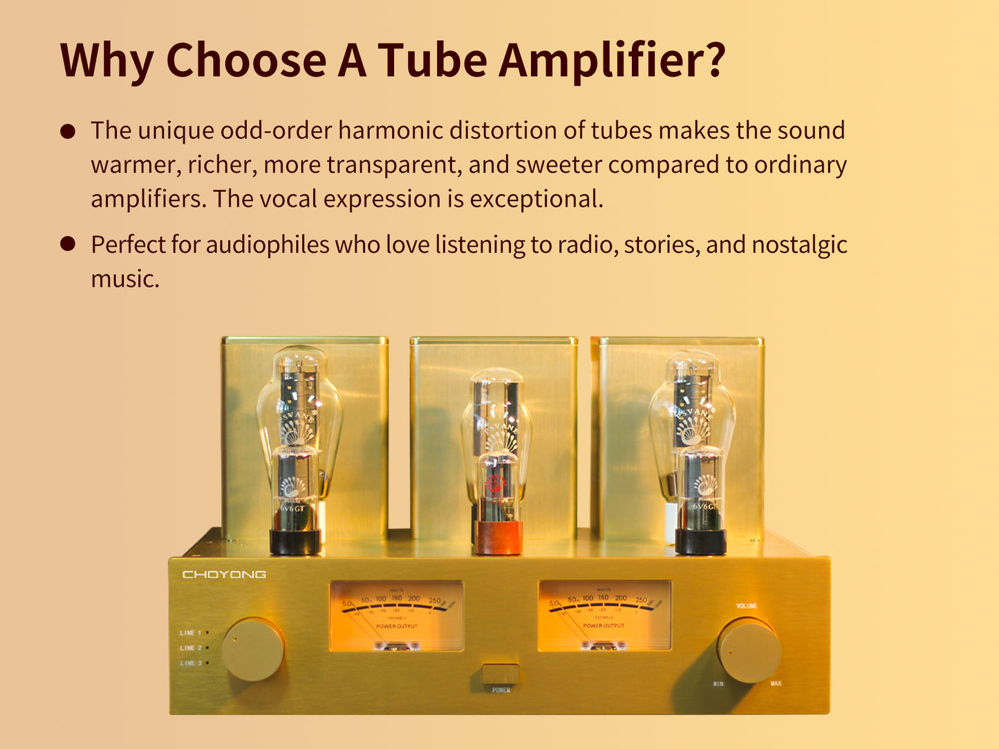 CHOYONG Class A 300B Tube  Amplifier