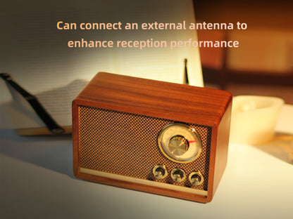 CHOYONG R1 Walnut Solid Wood Bluetooth Speaker