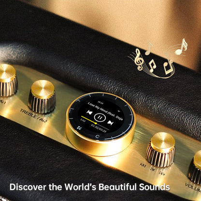 CHOYONG Maestro C2 WiFi Speaker