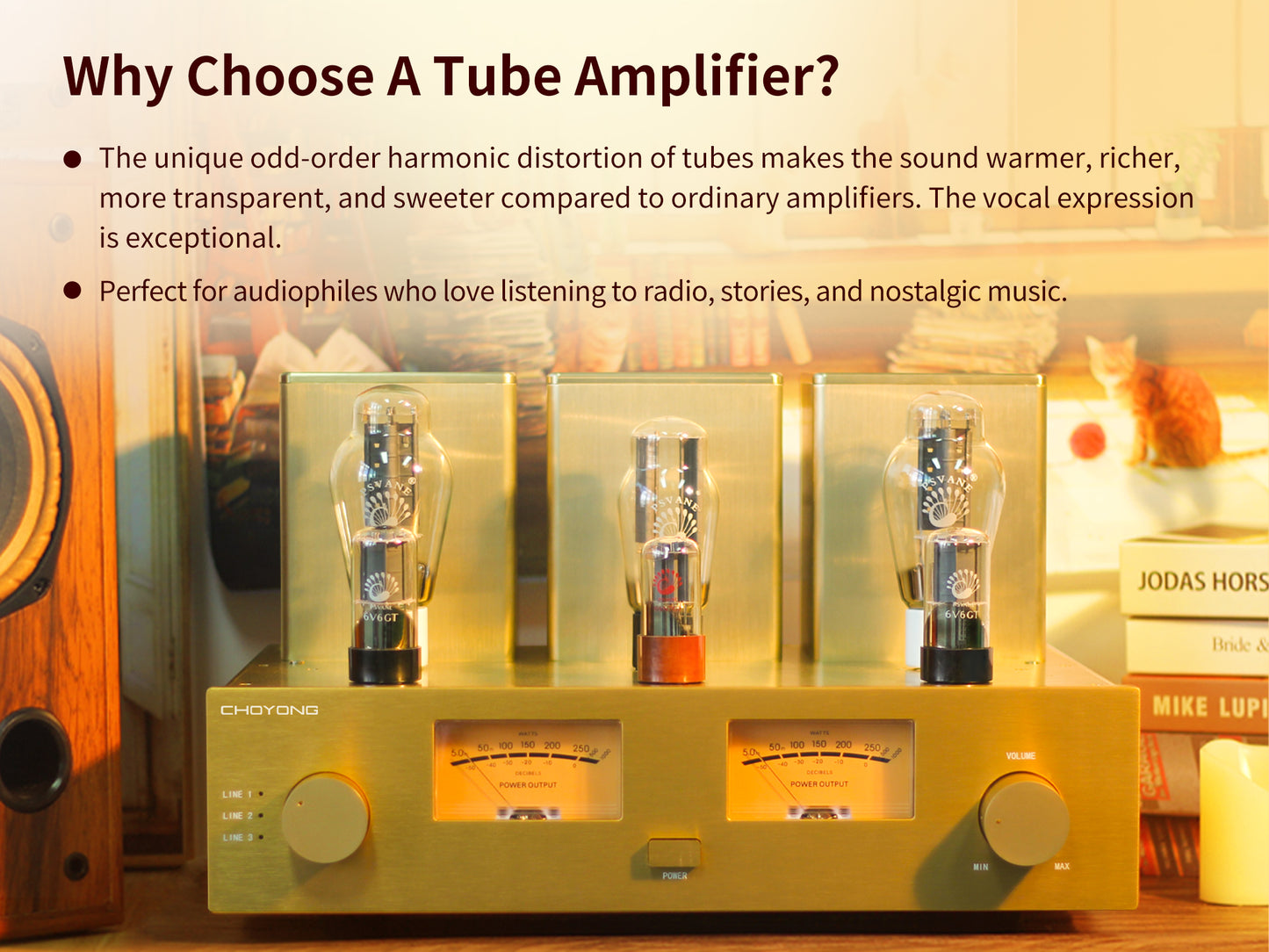CHOYONG Class A 300B Tube  Amplifier
