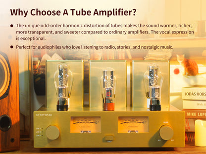 CHOYONG Class A 300B Tube  Amplifier