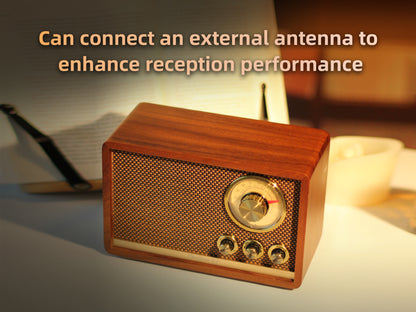 CHOYONG R1 Walnut Solid Wood Bluetooth Speaker