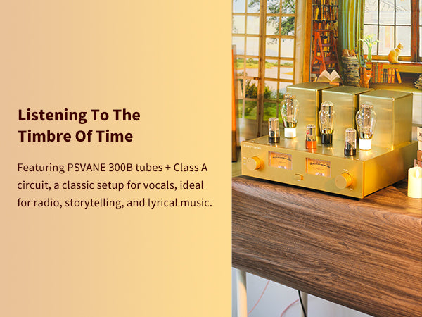 ChoYong 300B power amplifier tube amplifier