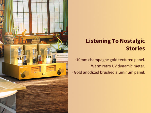 ChoYong 300B power amplifier tube amplifier